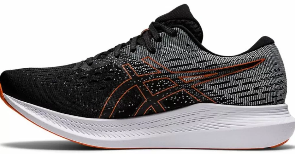 * Asics Men's Evoride 2 (1011B017-002)