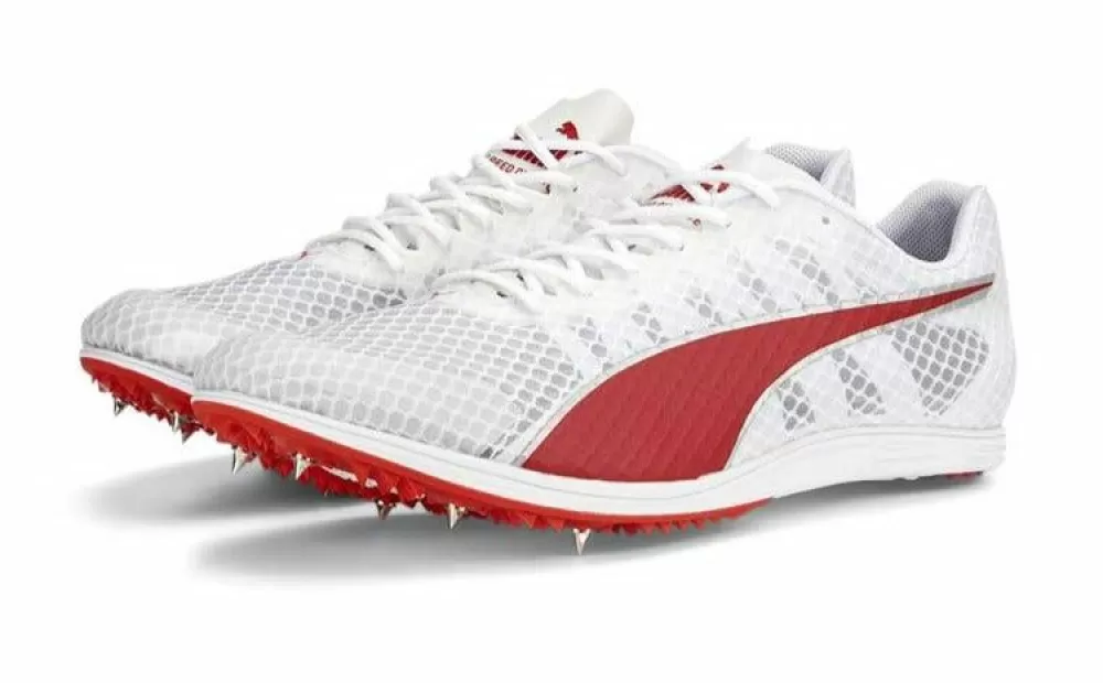 * Puma Evospeed Distance 11 Spikes